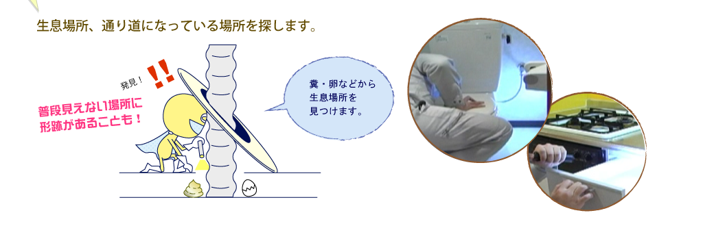 生息場所、通り道になっている場所を探します